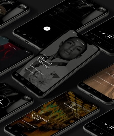 ig image section